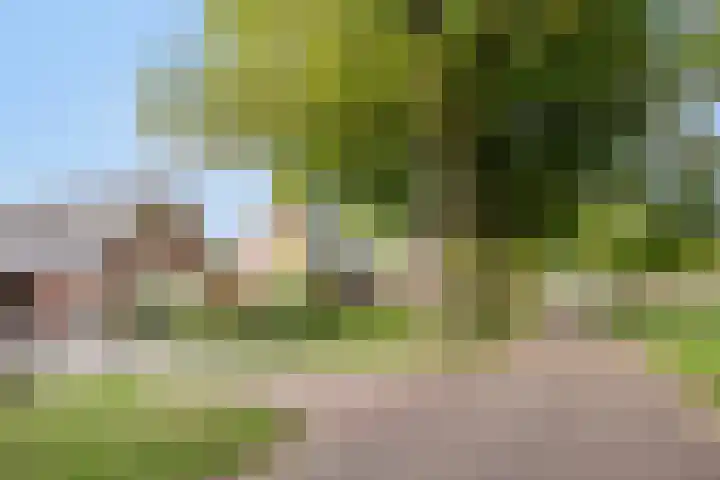 Herikeresweg 6 Markelo thumbnail 35