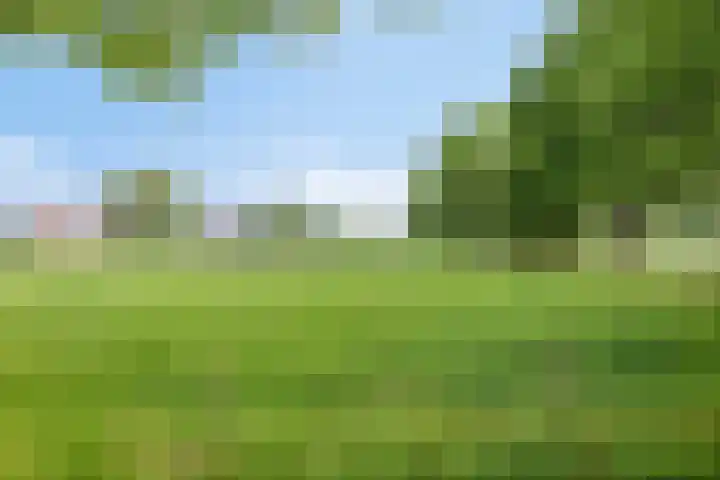 Herikeresweg 6 Markelo thumbnail 37
