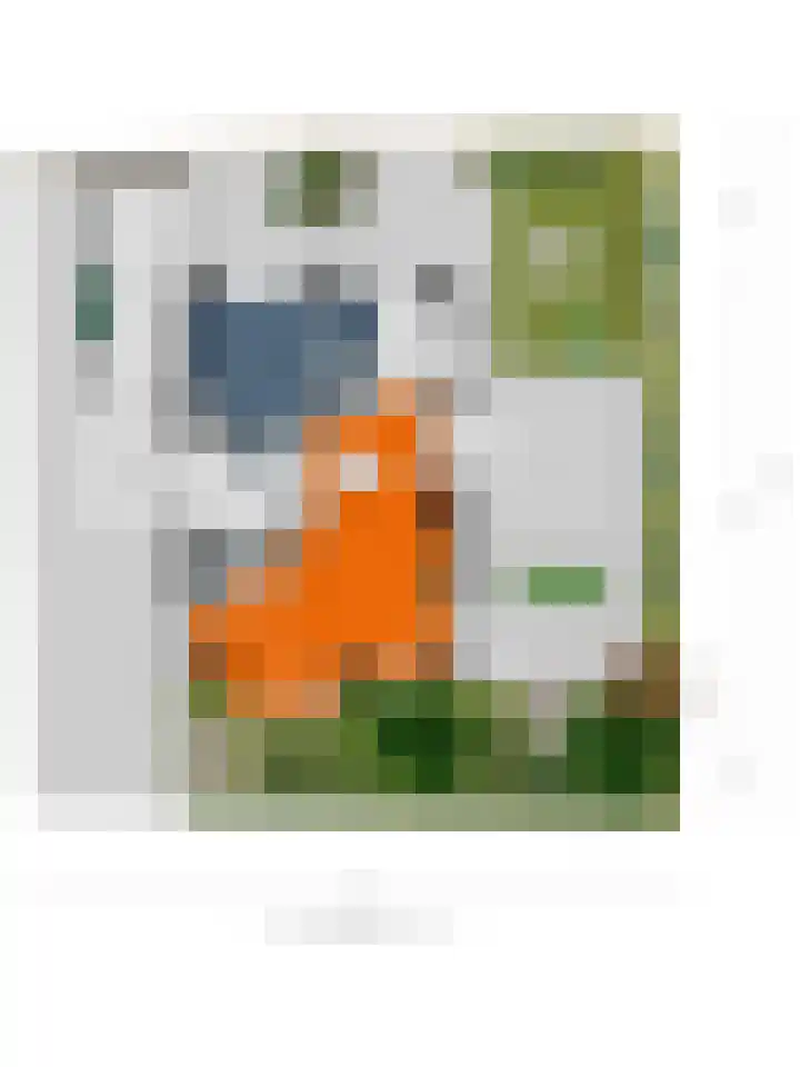 Herikeresweg 6 Markelo thumbnail 41