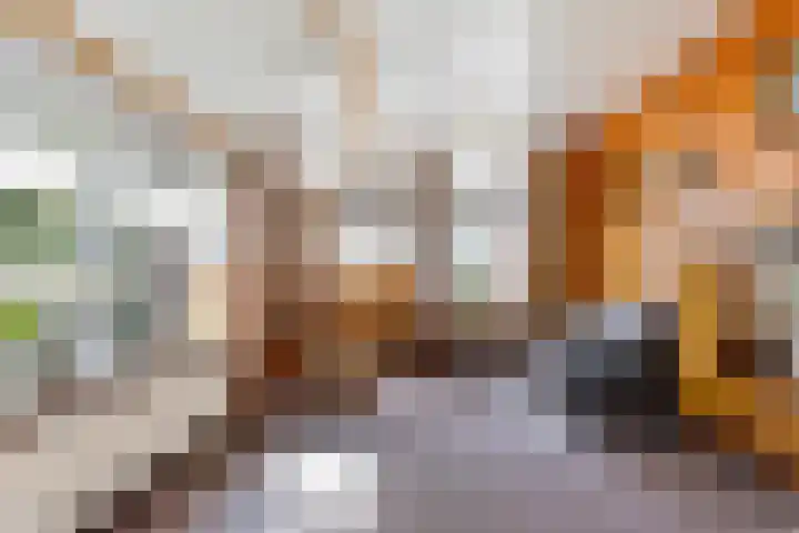 Herikerweg 17 Markelo thumbnail 36