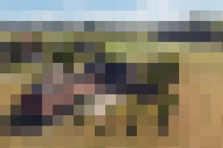 Herikerweg 17 Markelo thumbnail 55