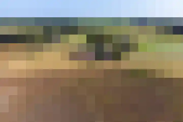 Herikerweg 17 Markelo thumbnail 59
