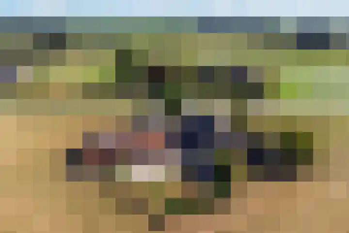 Herikerweg 17 Markelo thumbnail 60