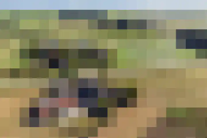 Herikerweg 17 Markelo thumbnail 62