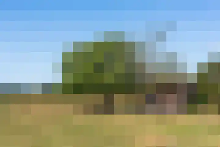 Herikerweg 17 Markelo thumbnail 8
