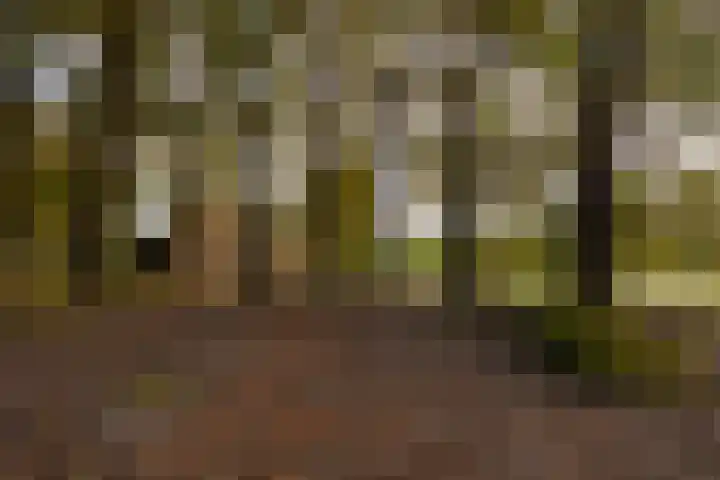 Herikerweg 31 Markelo thumbnail 10