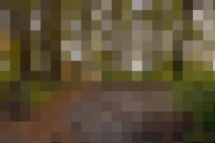 Herikerweg 31 Markelo thumbnail 11
