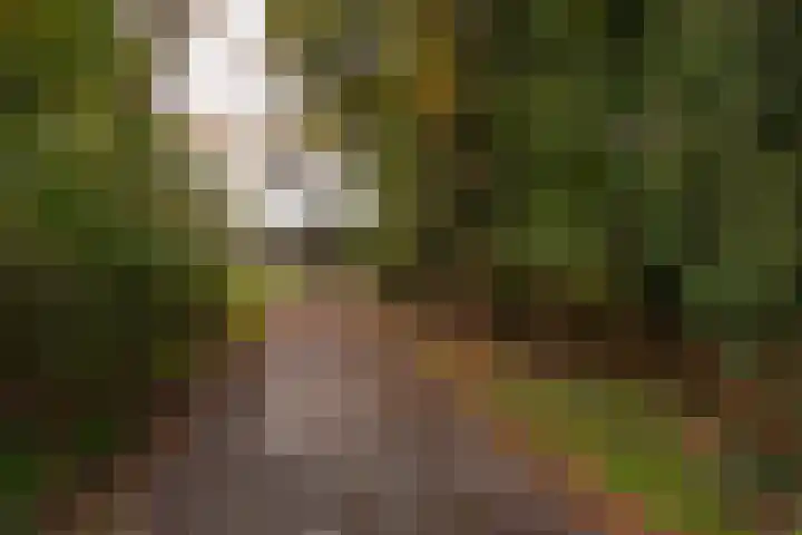 Herikerweg 31 Markelo thumbnail 12