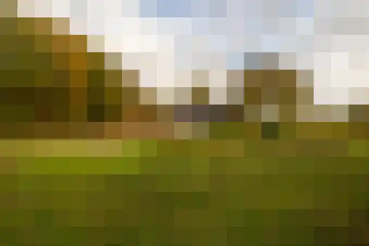 Herikerweg 31 Markelo thumbnail 6