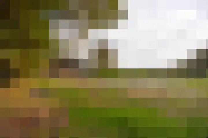 Herikerweg 31 Markelo thumbnail 8