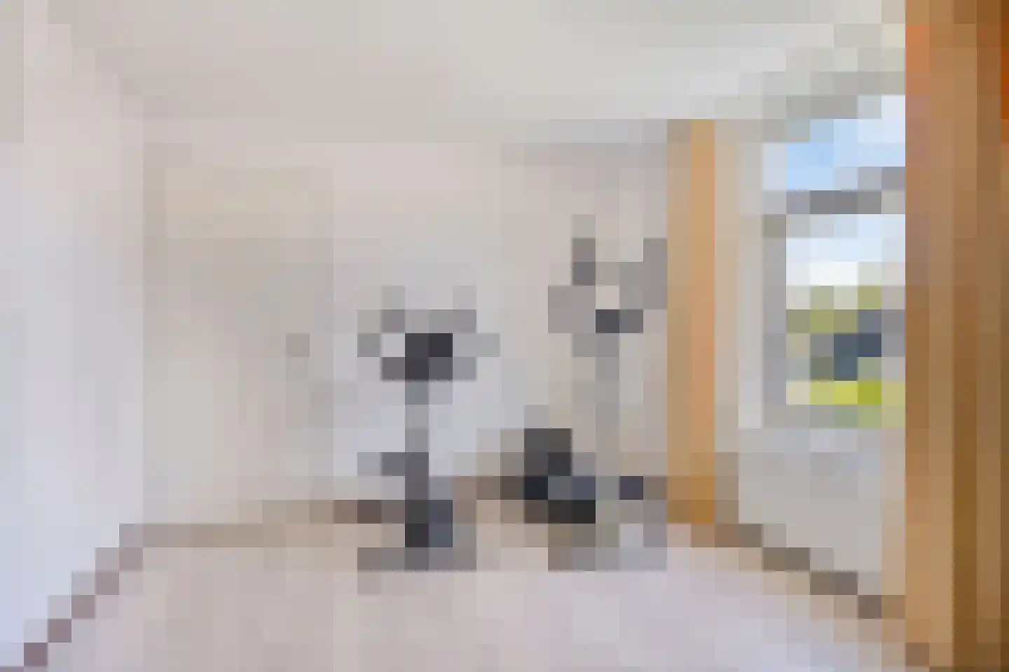Herikkruid 10 Purmerend thumbnail 25