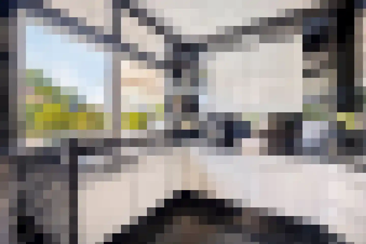 Herikkruid 10 Purmerend thumbnail 4