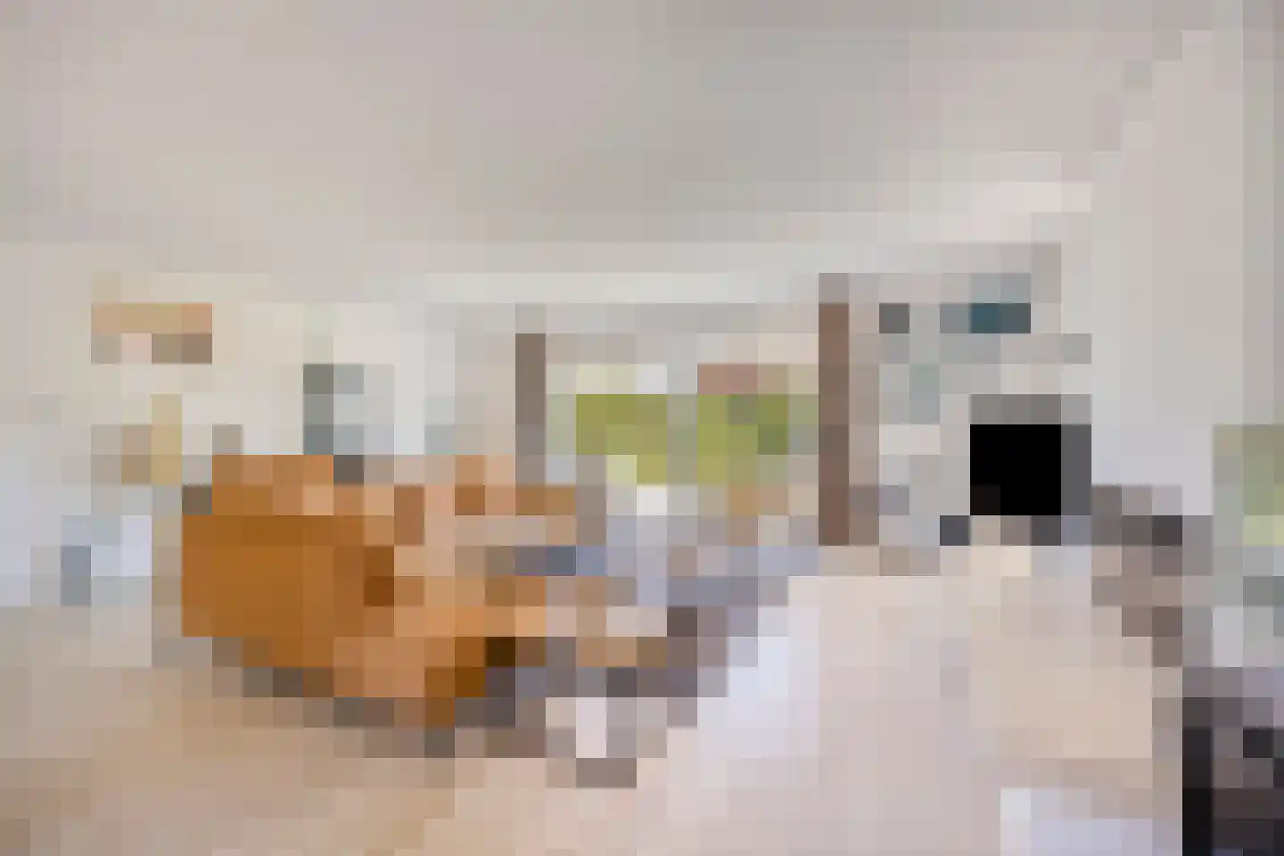 Herikkruid 10 Purmerend thumbnail 8