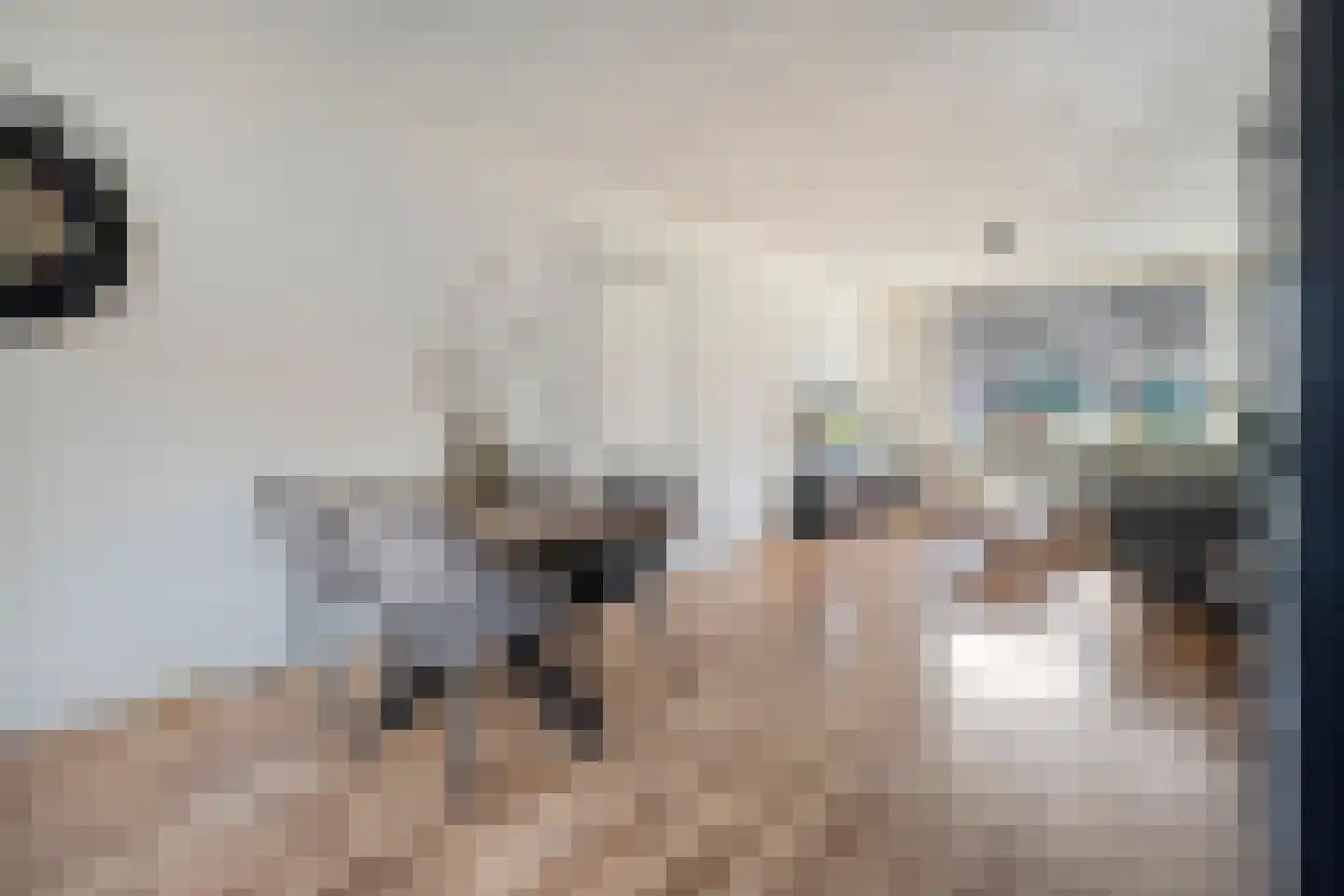 Herikstraat 3 Ommen thumbnail 10