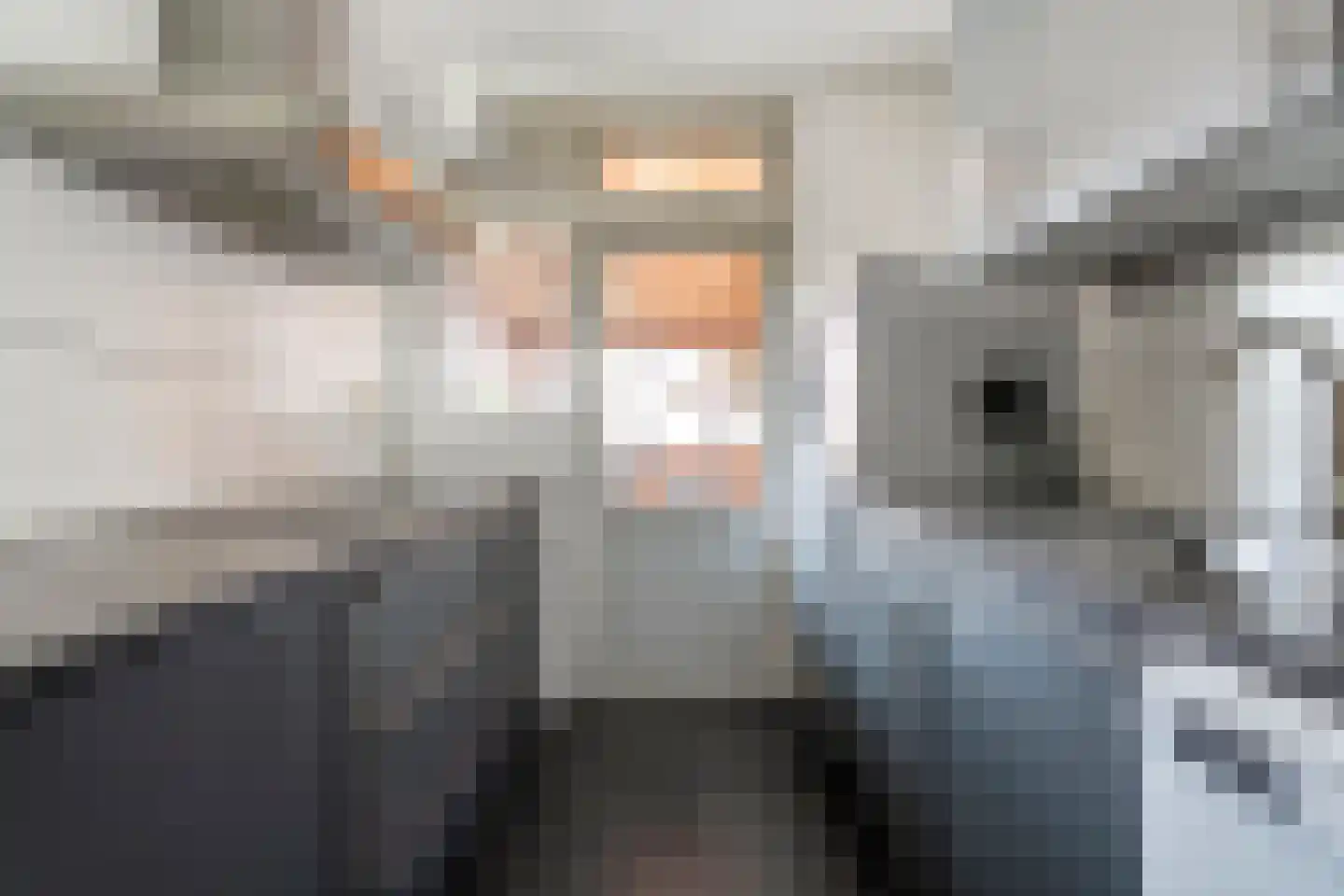 Herikstraat 3 Ommen thumbnail 12