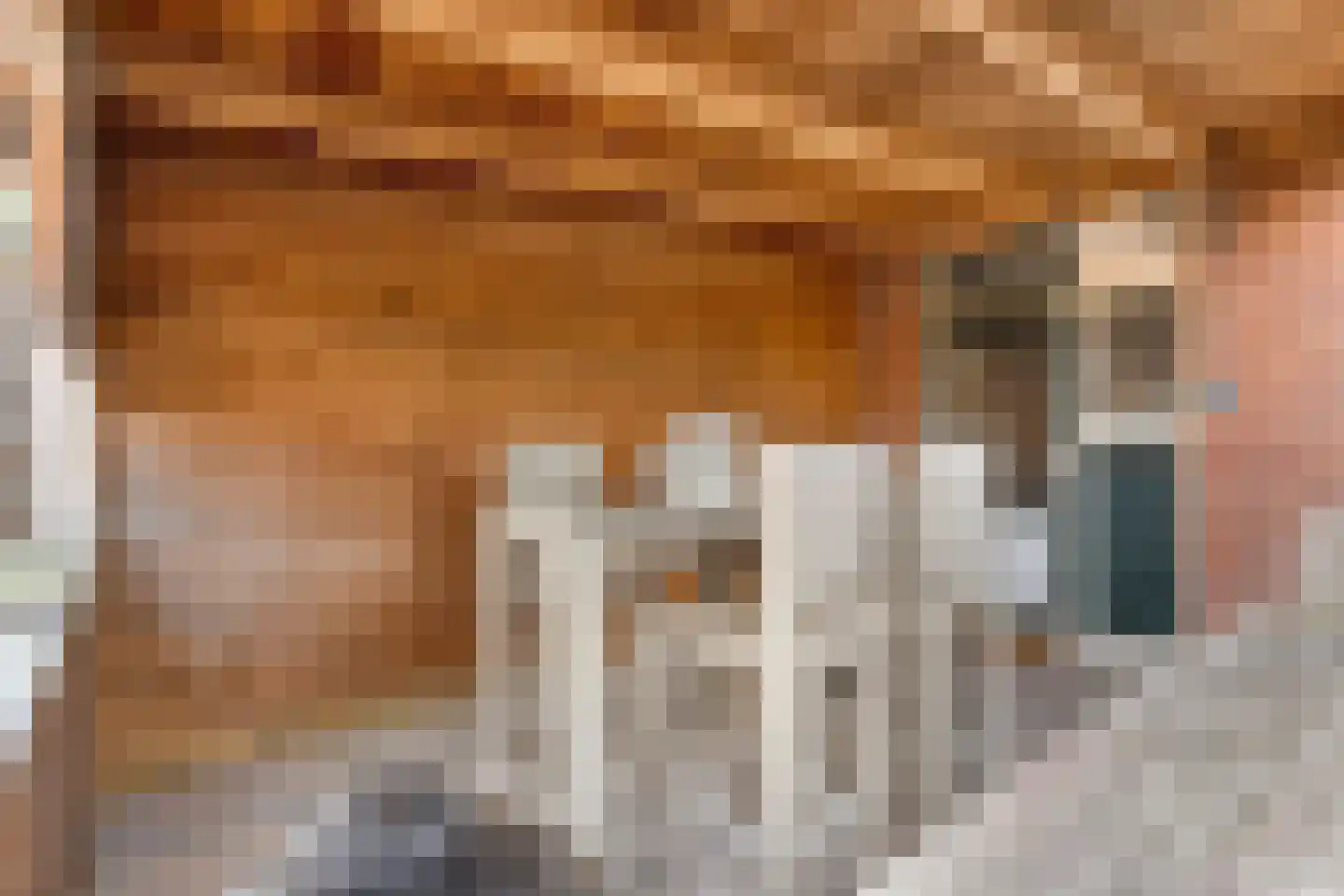 Herikstraat 3 Ommen thumbnail 30
