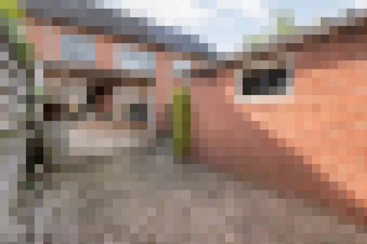 Herikstraat 3 Ommen thumbnail 34