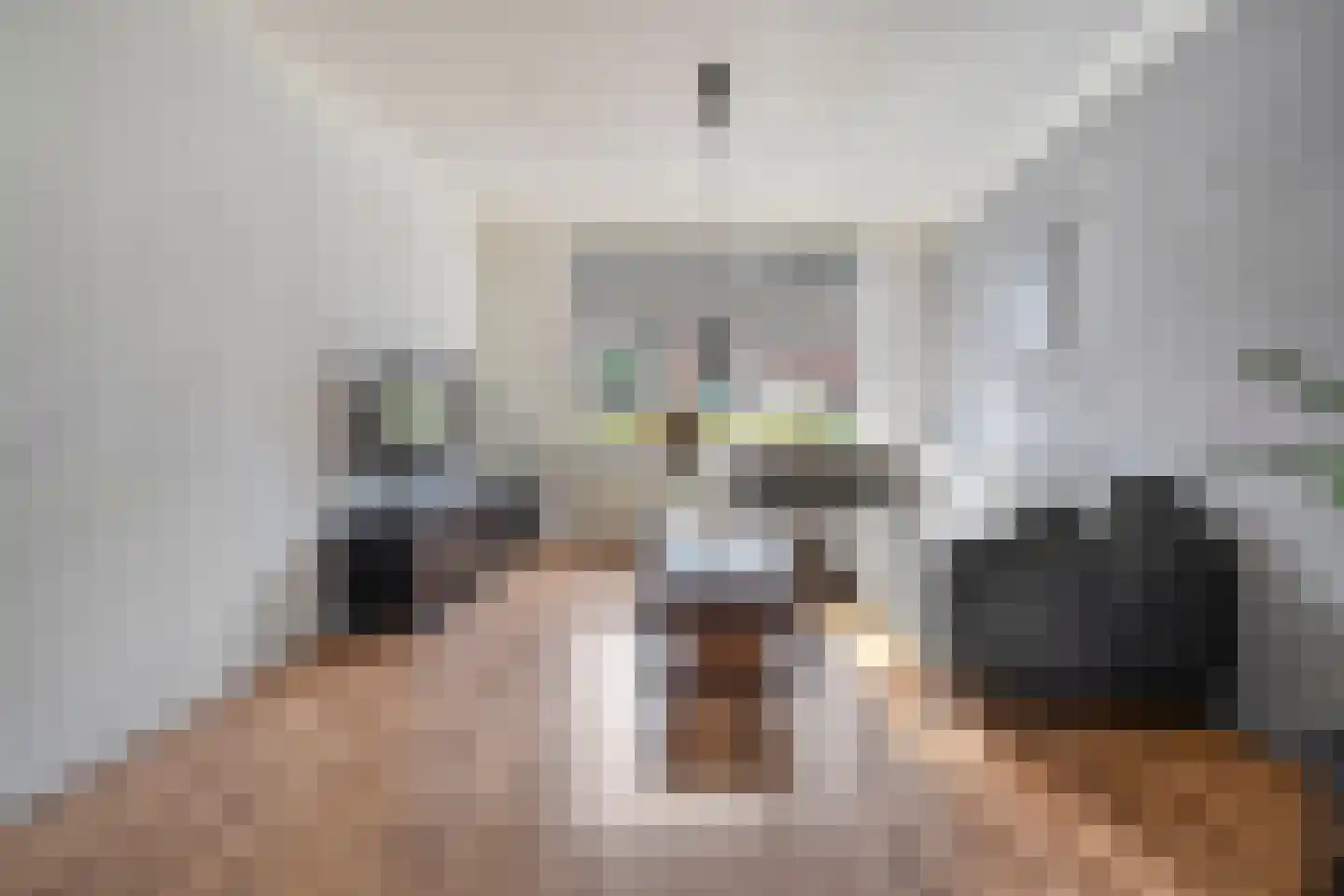 Herikstraat 3 Ommen thumbnail 7