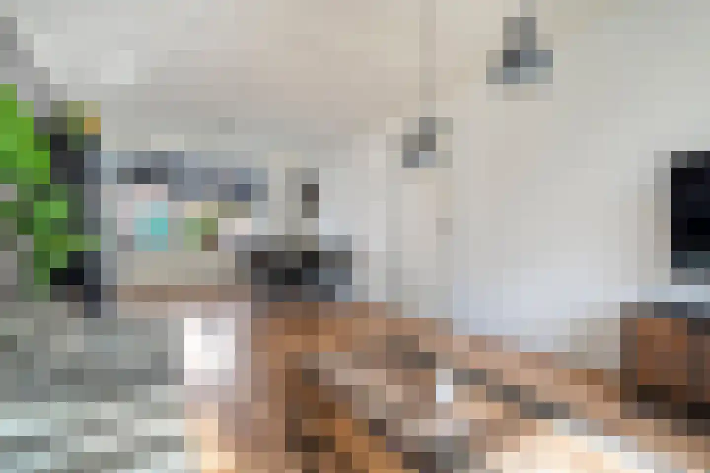 Herikstraat 3 Ommen thumbnail 8