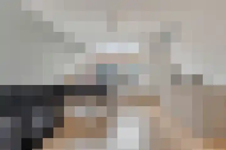 Herikstraat 30 Bergeijk thumbnail 4