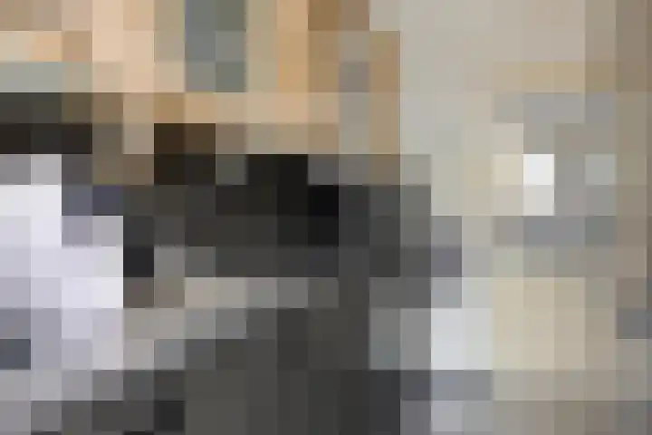 Herikstraat 30 Bergeijk thumbnail 7