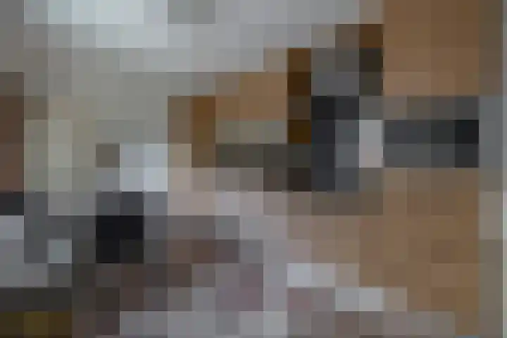 Herikstraat 32 Maasbree thumbnail 11