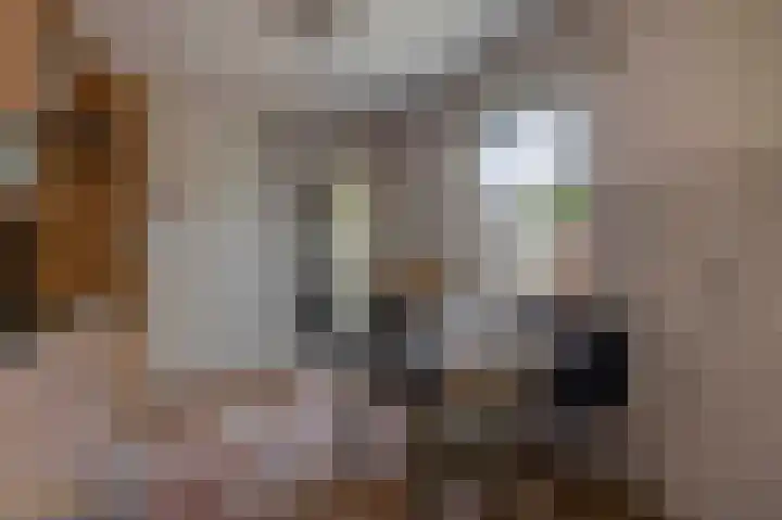 Herikstraat 32 Maasbree thumbnail 13