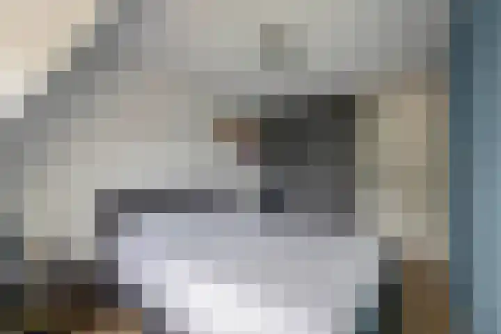 Herikstraat 32 Maasbree thumbnail 19