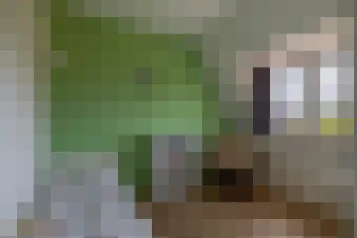 Herikstraat 32 Maasbree thumbnail 21