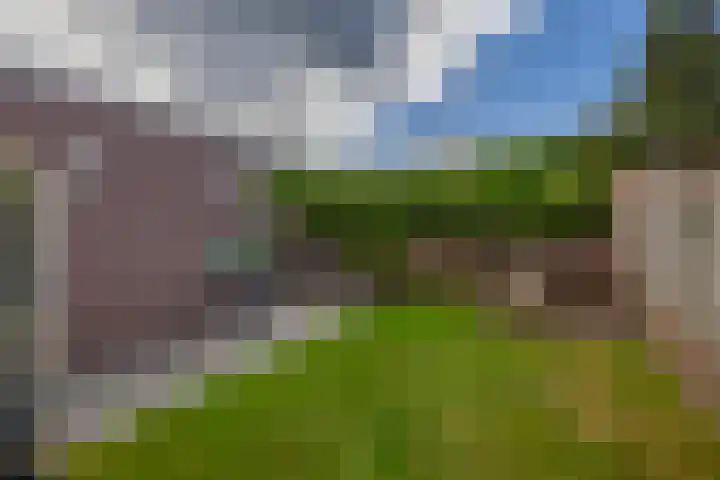 Herikstraat 32 Maasbree thumbnail 27