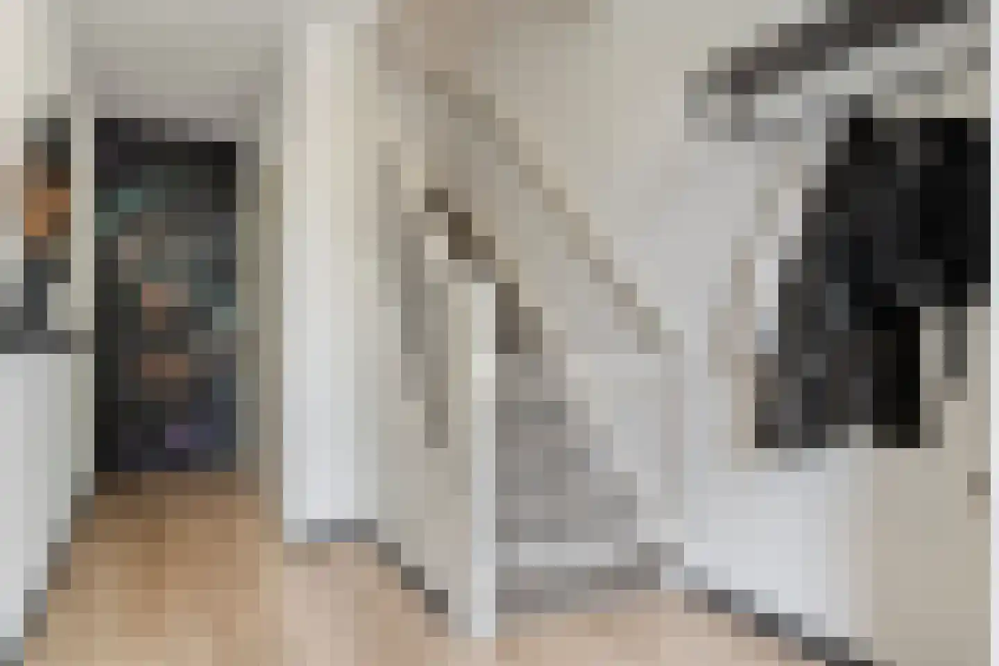 Herikstraat 4 Ommen thumbnail 17