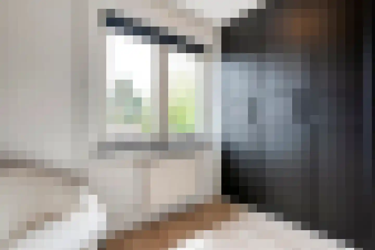 Herikstraat 4 Ommen thumbnail 25