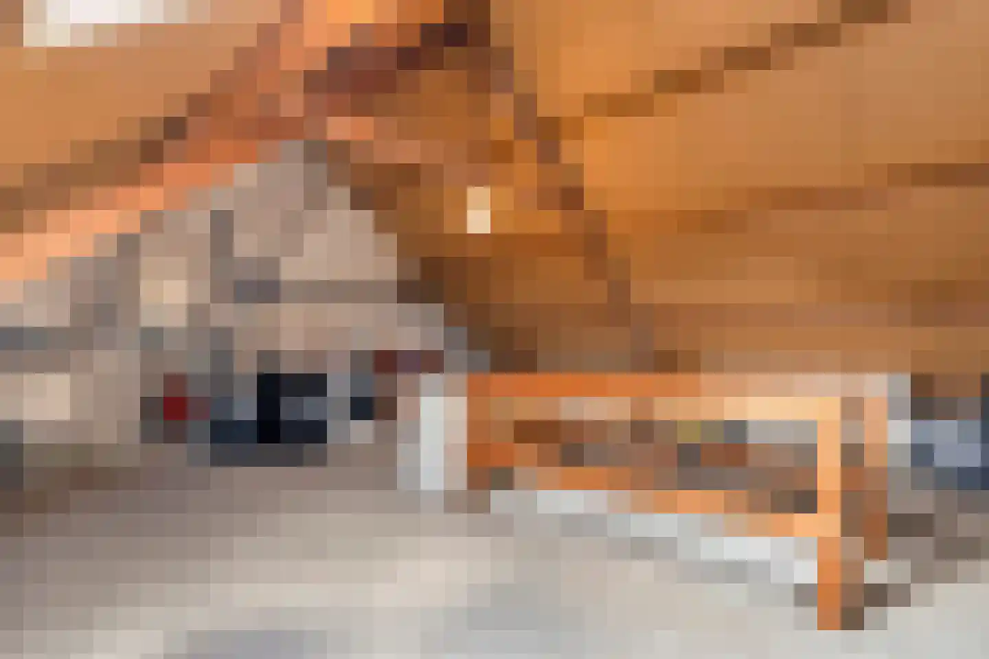 Herikstraat 4 Ommen thumbnail 32