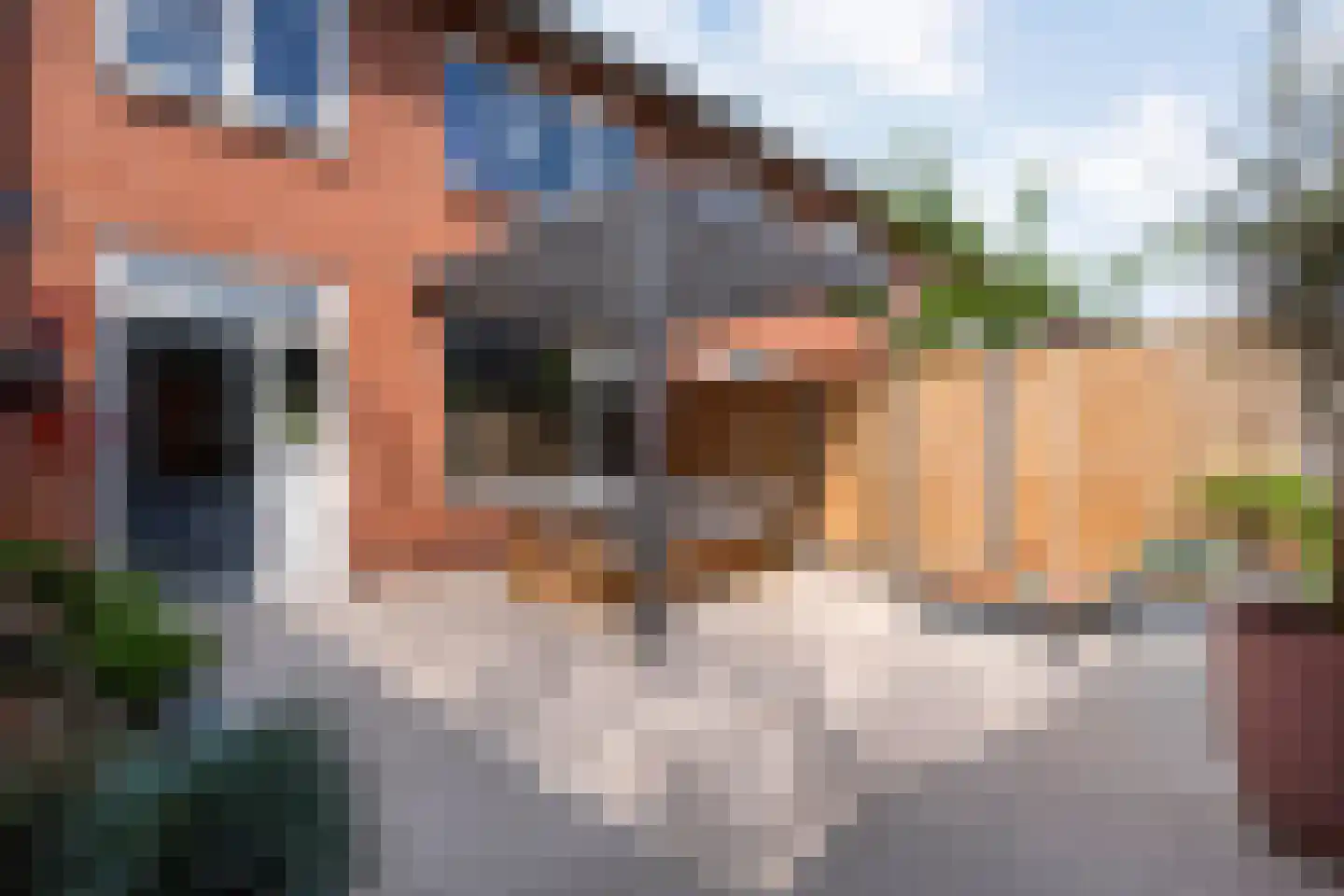 Herikstraat 4 Ommen thumbnail 35