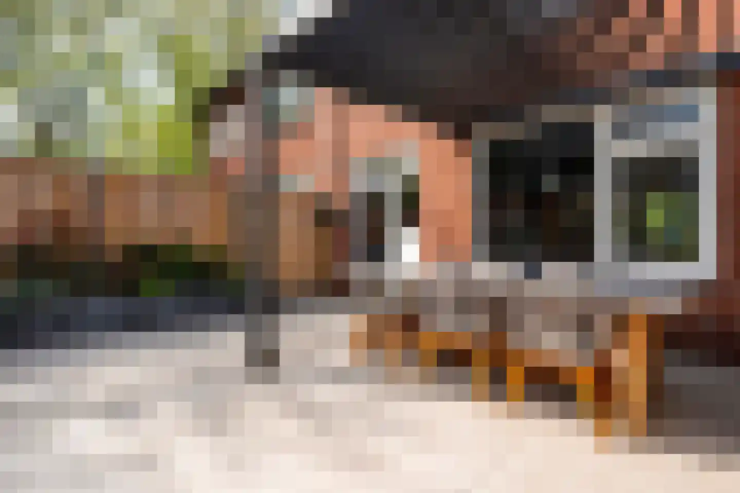 Herikstraat 4 Ommen thumbnail 36