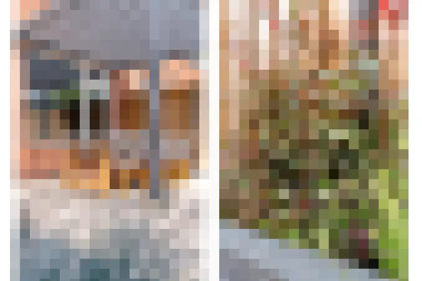 Herikstraat 4 Ommen thumbnail 37