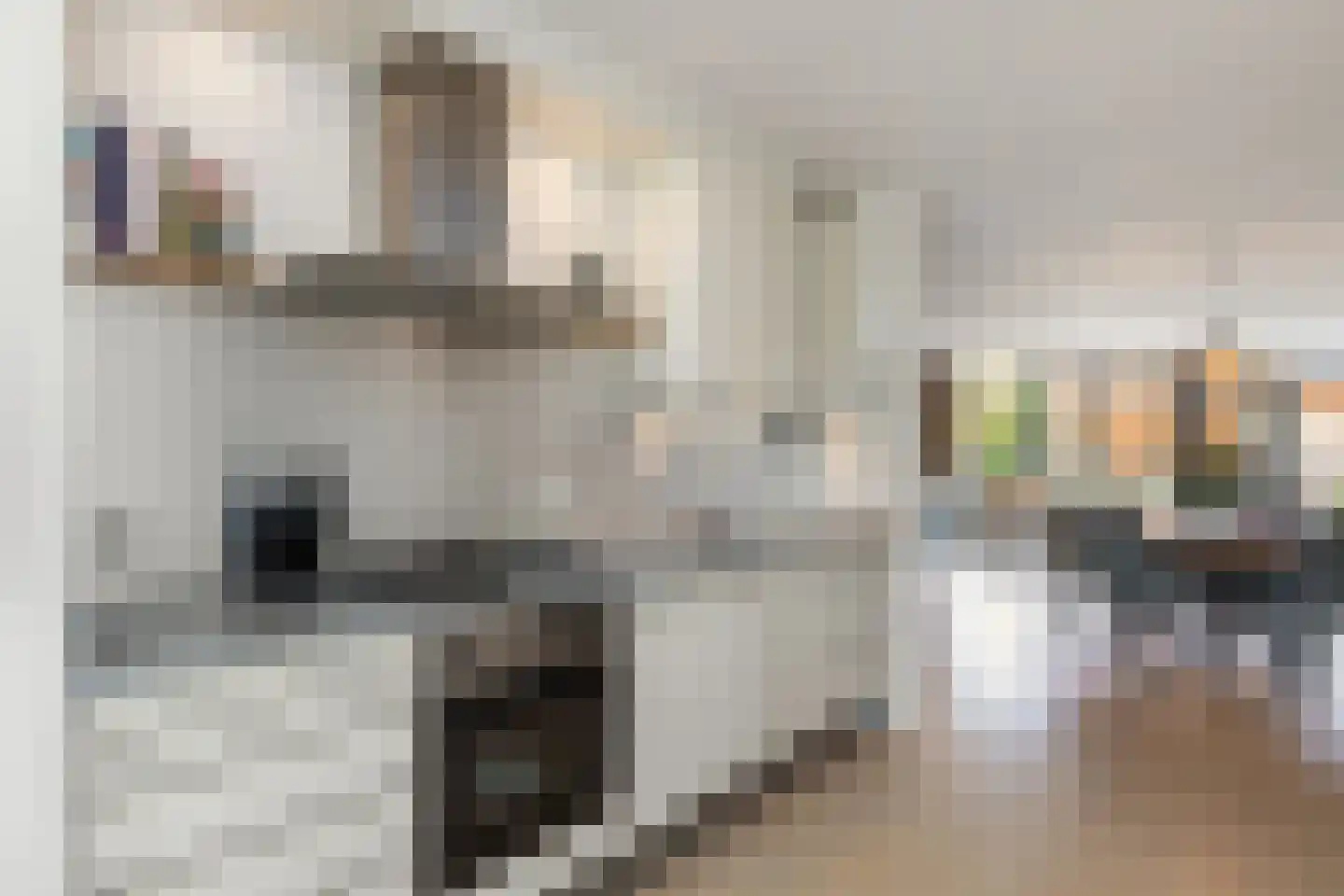Herinckhave 47 Raalte thumbnail 11