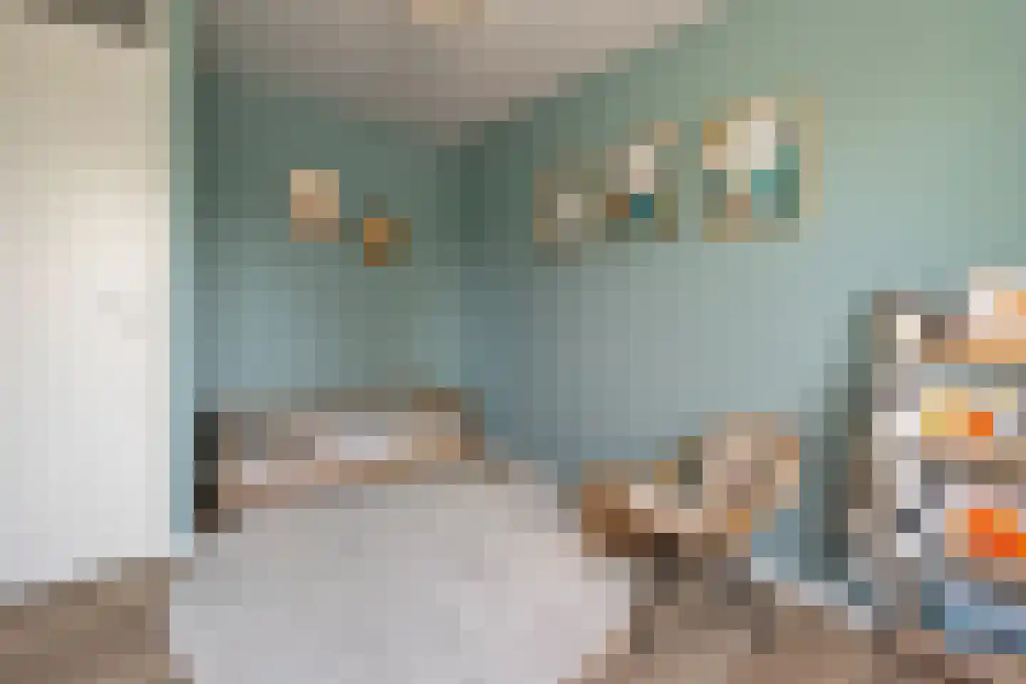Herinckhave 47 Raalte thumbnail 21