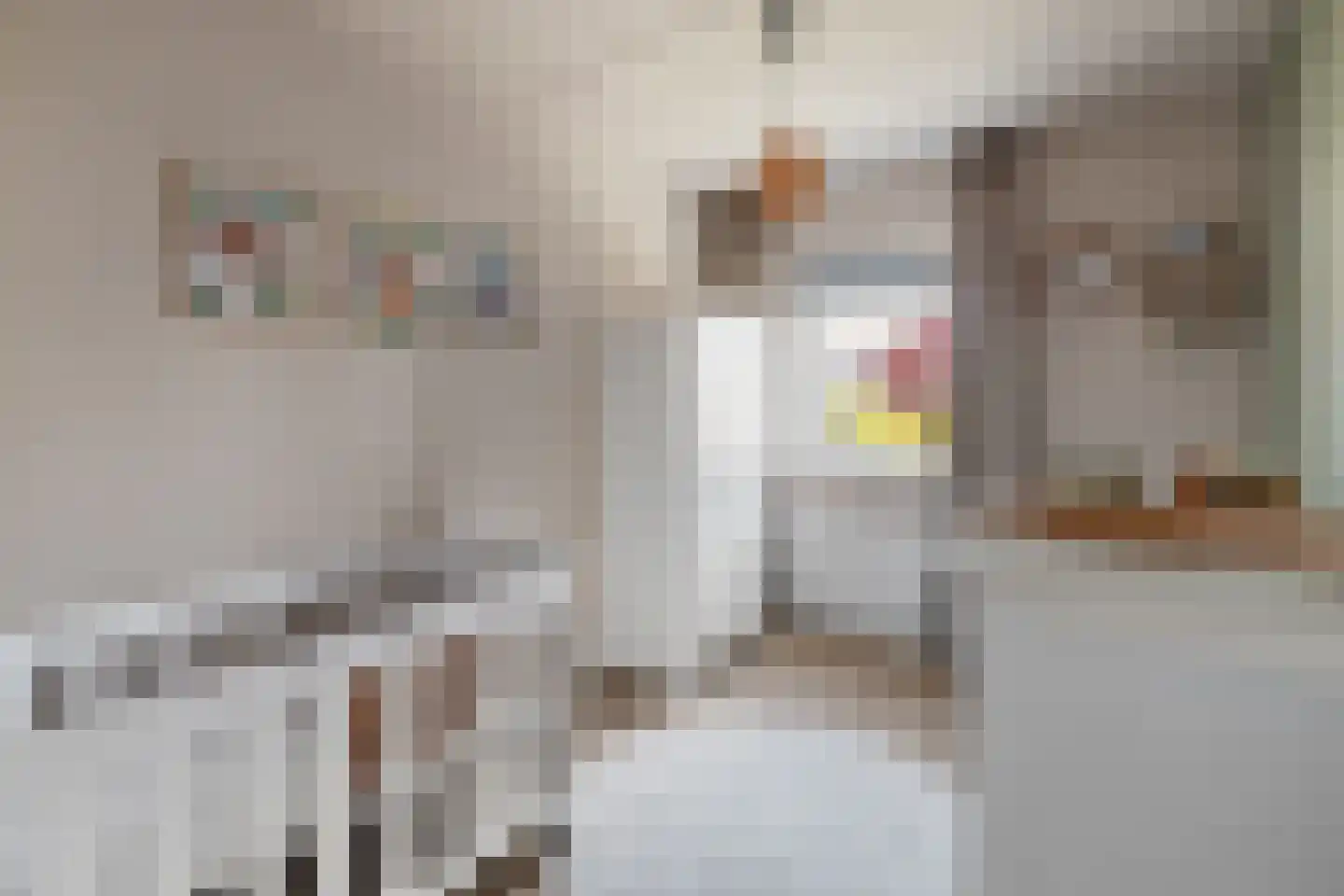 Herinckhave 47 Raalte thumbnail 22