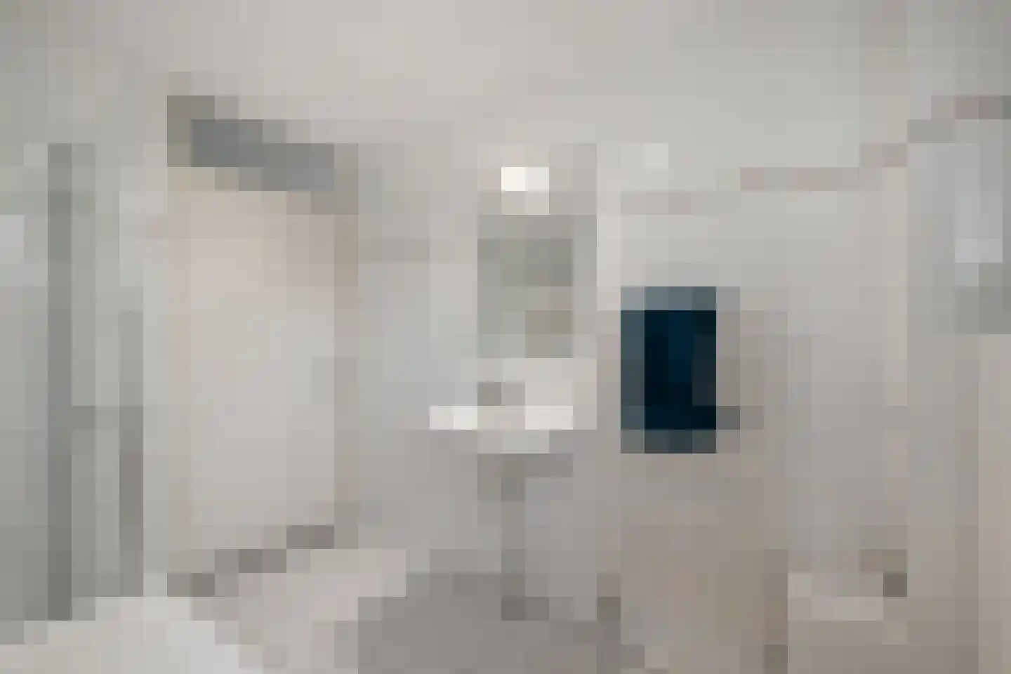 Herinckhave 47 Raalte thumbnail 25