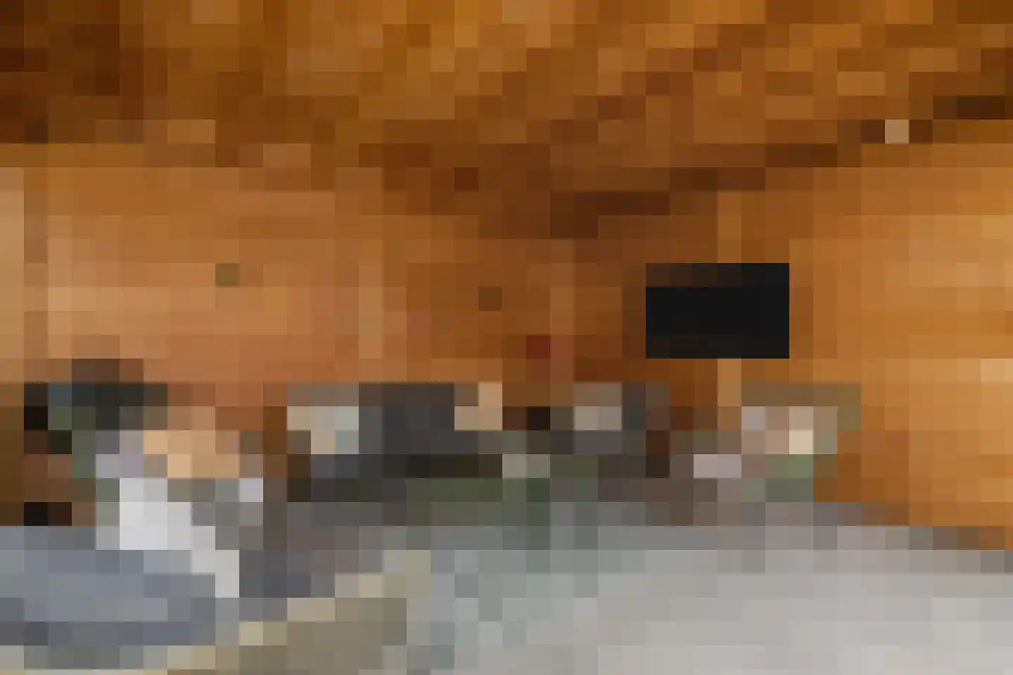 Herinckhave 47 Raalte thumbnail 36