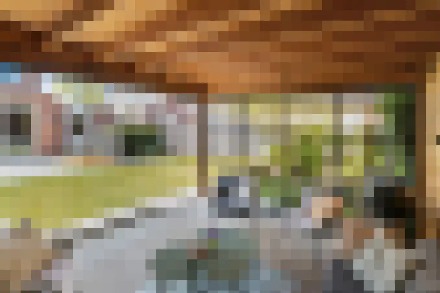 Herinckhave 47 Raalte thumbnail 37