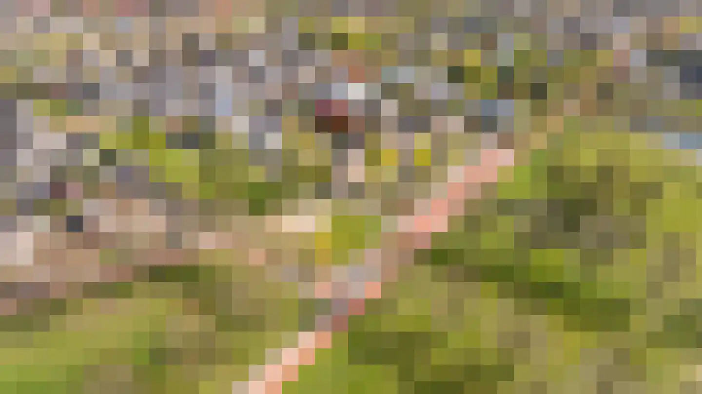 Herinckhave 47 Raalte thumbnail 43