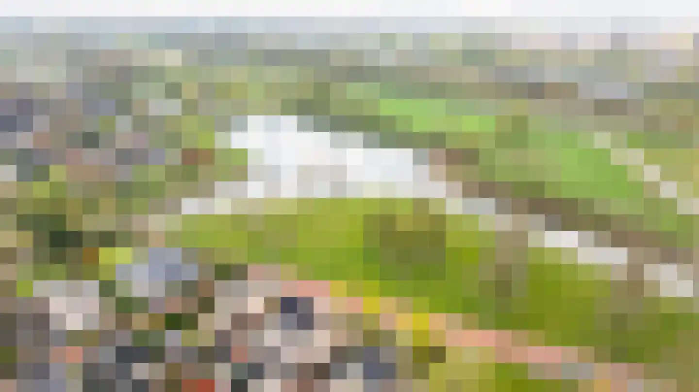 Herinckhave 47 Raalte thumbnail 44