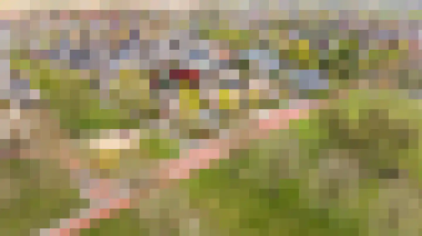 Herinckhave 47 Raalte thumbnail 45
