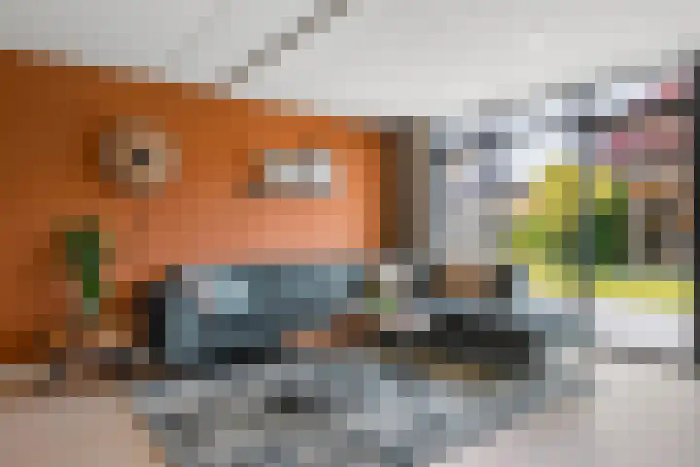 Herinckhave 47 Raalte thumbnail 7