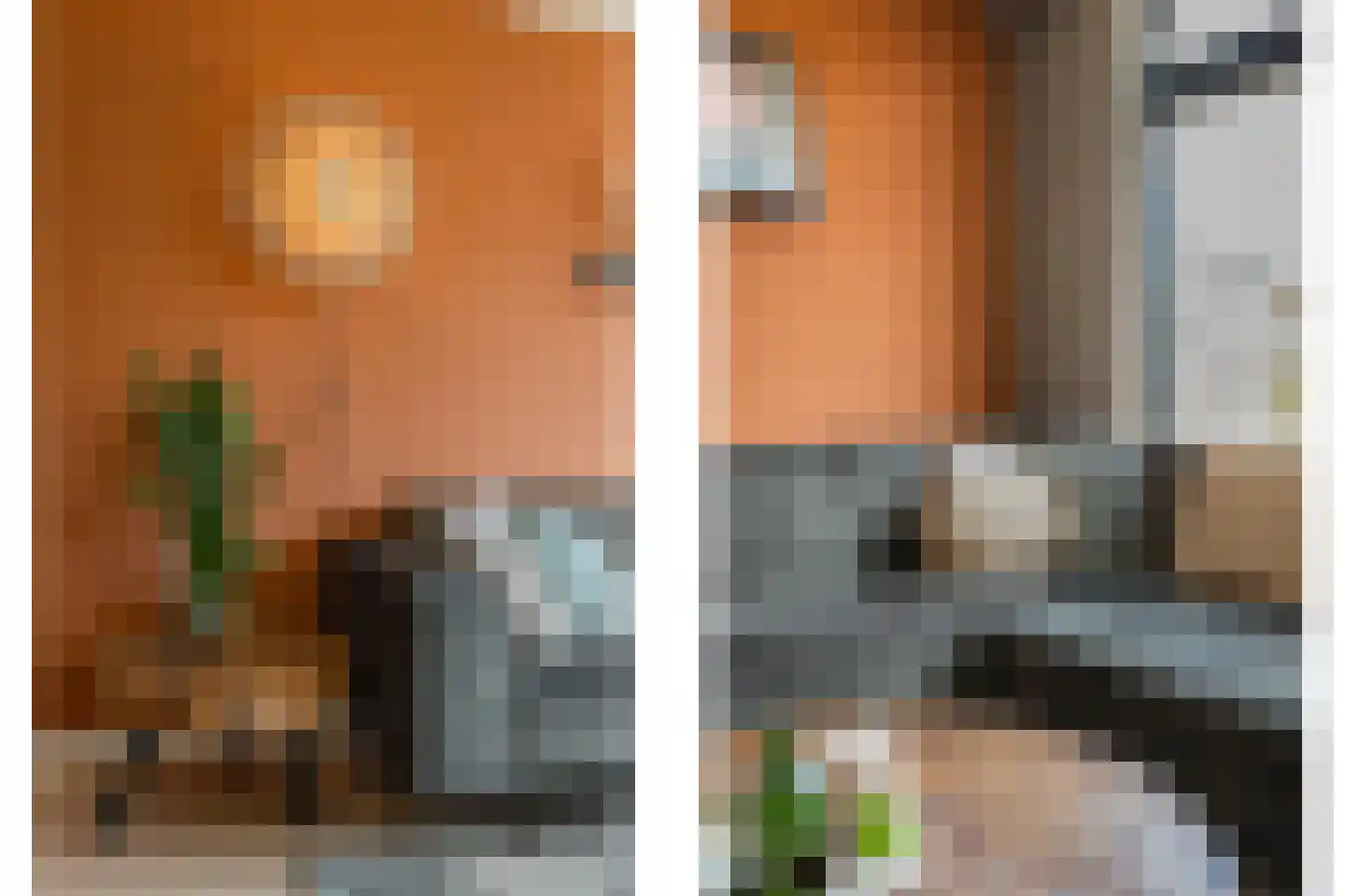 Herinckhave 47 Raalte thumbnail 8