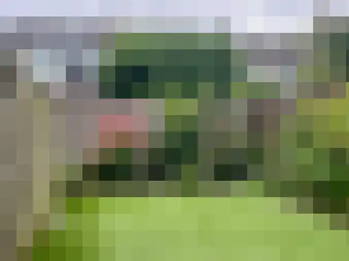 Herinckhave 66 Almelo thumbnail 10