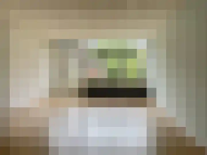 Herinckhave 66 Almelo thumbnail 7