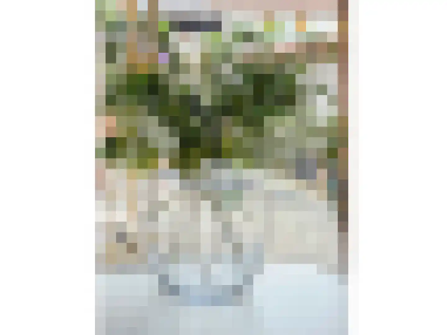 Herinckhavestraat 17 Hengelo thumbnail 22